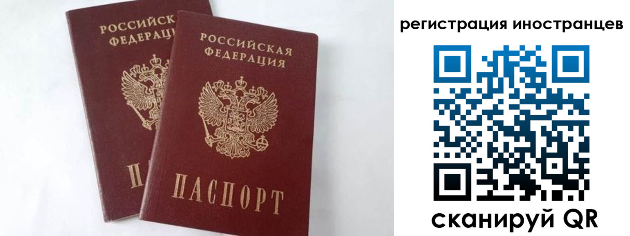 регистрация для школы в Коврове